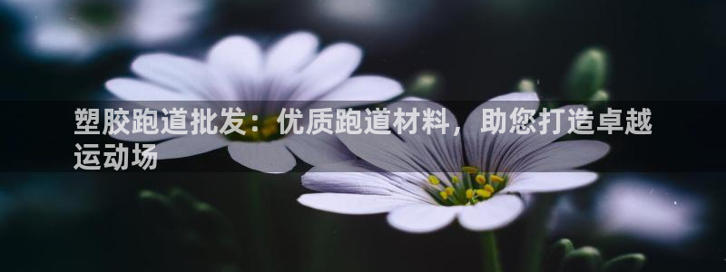 谈球吧买球提现