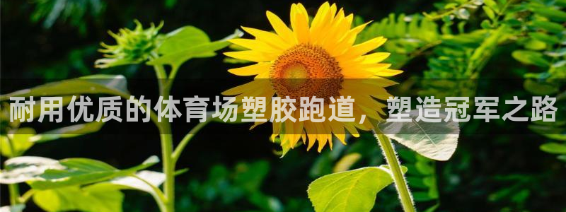 谈球吧是正规平台吗知乎