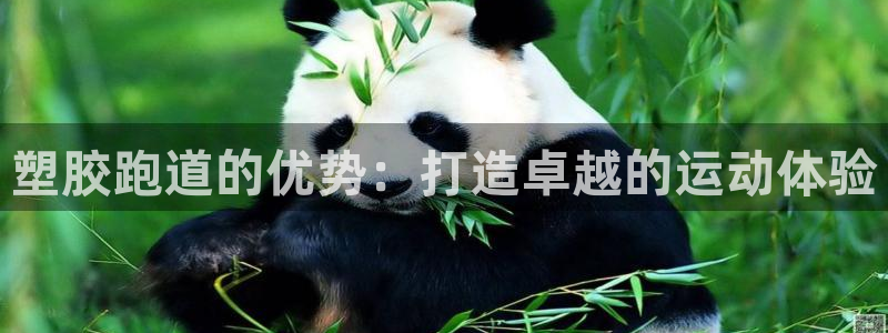 谈球吧体育综合