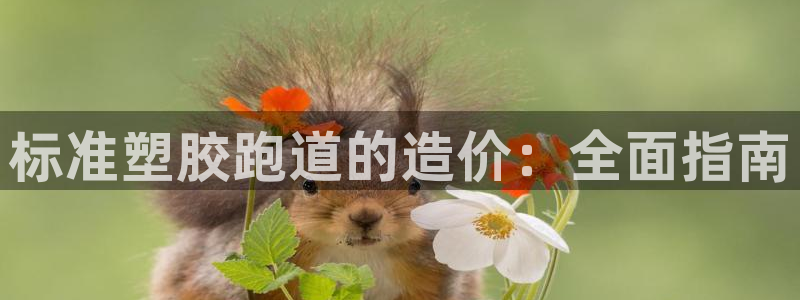 谈球吧网页登陆：标准塑胶跑道的造价：全面指南