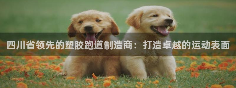 谈球吧体育app下载中心在哪：四川省领先的塑胶跑道制