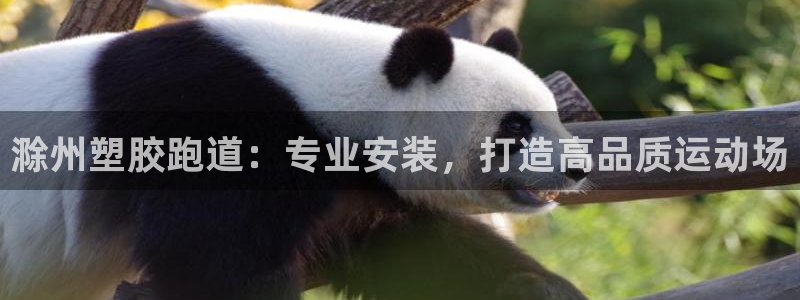 谈球吧首充金额截图：滁州塑胶跑道：专业安装，打造高品