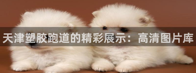 谈球吧app靠谱吗：天津塑胶跑道的精彩展示：高清图片库