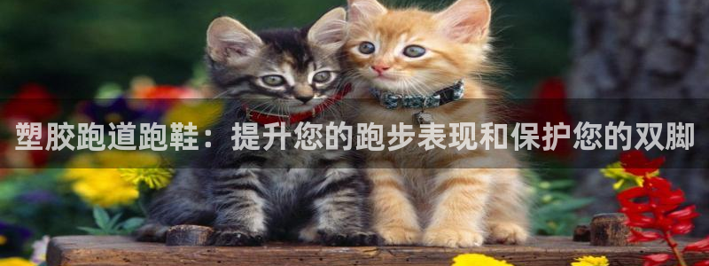 谈球吧app靠谱吗：塑胶跑道跑鞋：提升您的跑步表现和保护您的双脚