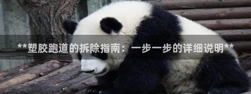 谈球吧娱乐app下载官网苹果