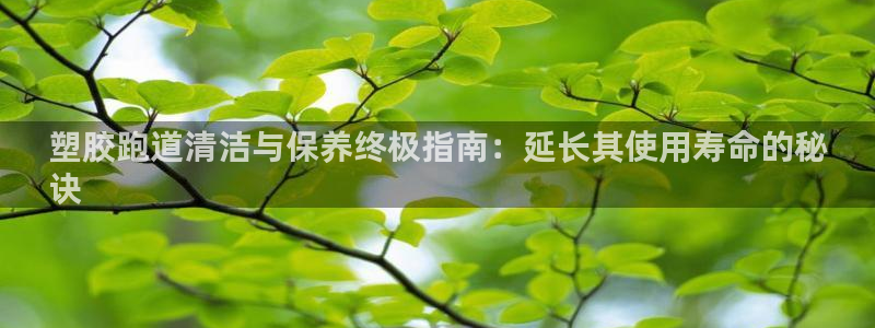 谈球吧app赛事分析在哪里看到：塑胶跑道清洁与保养终极指南：延长其使用寿命的秘
诀