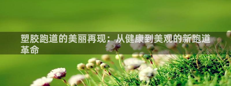 谈球吧体育官网入口