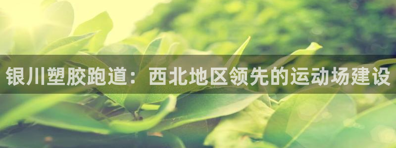 谈球吧体育app下载足球直播视频：银川塑胶跑道：西北地区领先的运动场建设