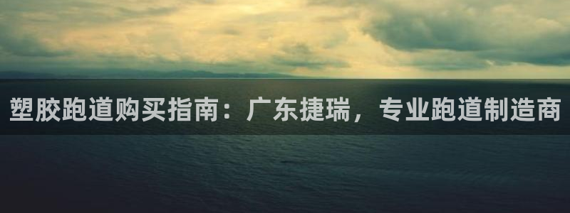 谈球吧体育app下载中心官方最新版：塑胶跑道购买指南