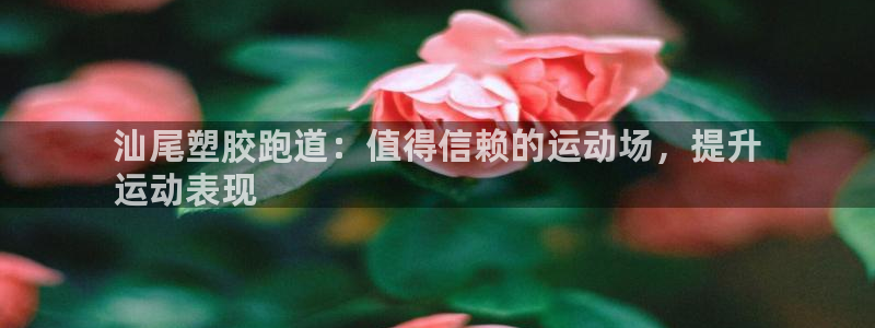 谈球吧体育app下载中心在哪找：汕尾塑胶跑道：值得信赖的运动场，提升
运动表现