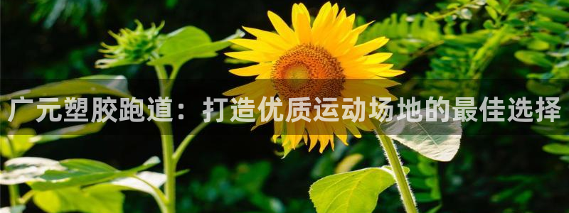 谈球吧官网提款不了：广元塑胶跑道：打造优质运动场地的最佳选择