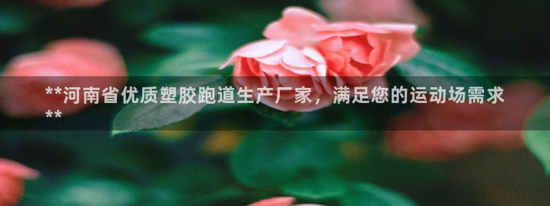 谈球吧平台正规吗：**河南省优质塑胶跑道生产厂家，满足您的运动场需求
**