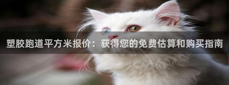 谈球吧平台正规吗可信吗：塑胶跑道平方米报价：获得您的免费估算和购买指南