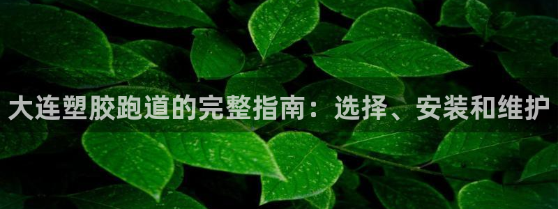 谈球吧登录网：大连塑胶跑道的完整指南：选择、安装和维