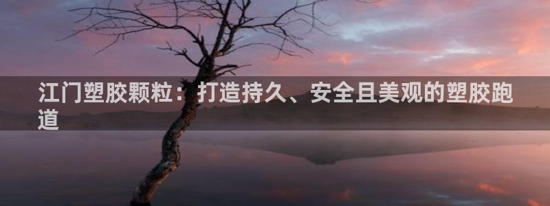 谈球吧体育app下载足球比赛：江门塑胶颗粒：打造持久、安全且美观的塑胶跑
道