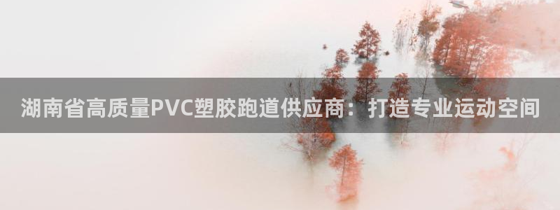谈球吧体育app下载足球比赛直播：湖南省高质量PVC