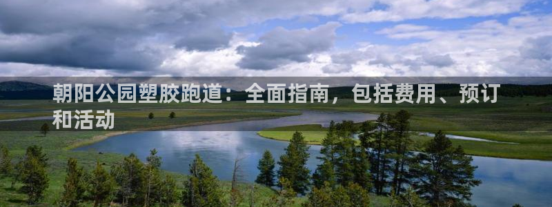 谈球吧不出款：朝阳公园塑胶跑道：全面指南，包括费用、