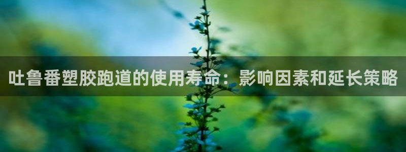 谈球吧在线观看：吐鲁番塑胶跑道的使用寿命：影响因素和