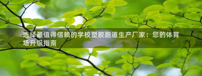 谈球吧官网入口在线观看：选择最值得信赖的学校塑胶跑道