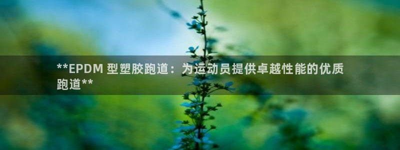 谈球吧体育app下载足球比赛：**EPDM 型塑胶跑