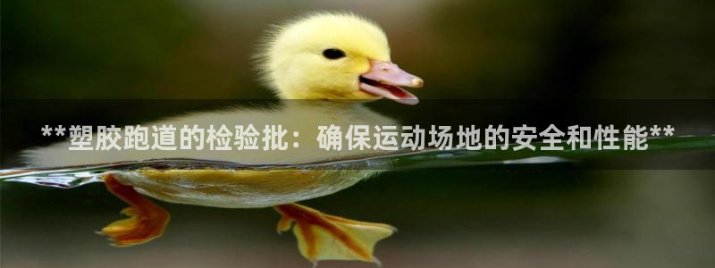谈球吧红包码：**塑胶跑道的检验批：确保运动场地的安