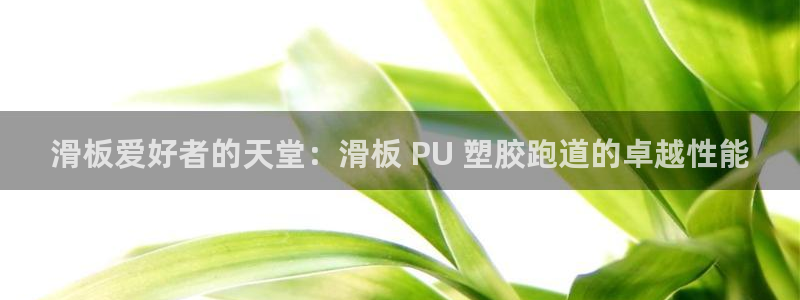 谈球吧的聊天软件下载：滑板爱好者的天堂：滑板 PU 