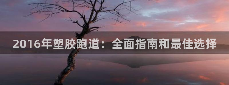 谈球吧体育app官网下载安卓：2016年塑胶跑道：全