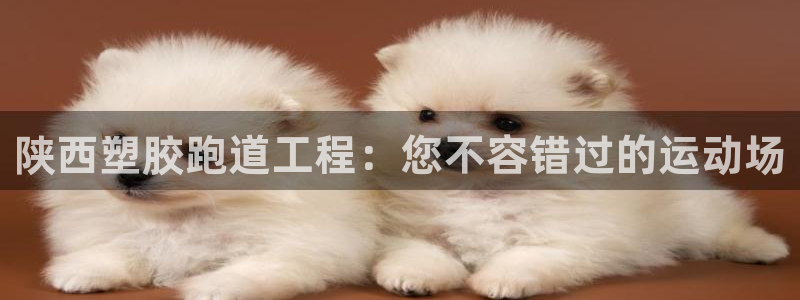 谈球吧APP开元：陕西塑胶跑道工程：您不容错过的运动