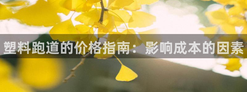 谈球吧是正规平台吗安全吗：塑料跑道的价格指南：影响成