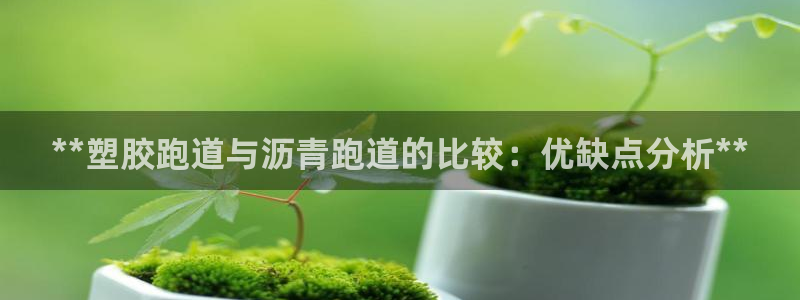 谈球吧可靠吗：**塑胶跑道与沥青跑道的比较：优缺点分