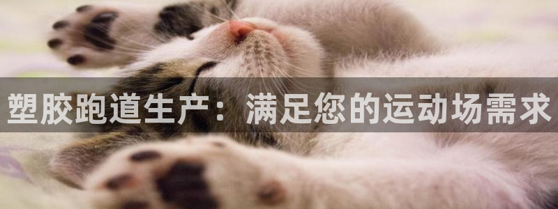 谈球吧在线登陆：塑胶跑道生产：满足您的运动场需求