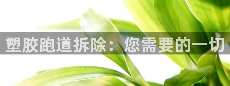 谈球吧是黑台子吗是真的吗：塑胶跑道拆除：您需要的一切