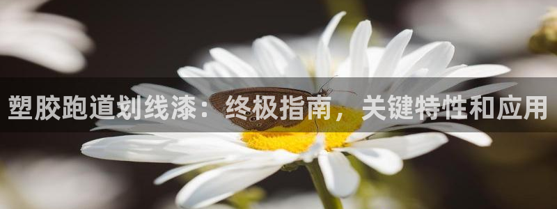 谈球吧：塑胶跑道划线漆：终极指南，关键特性和应用