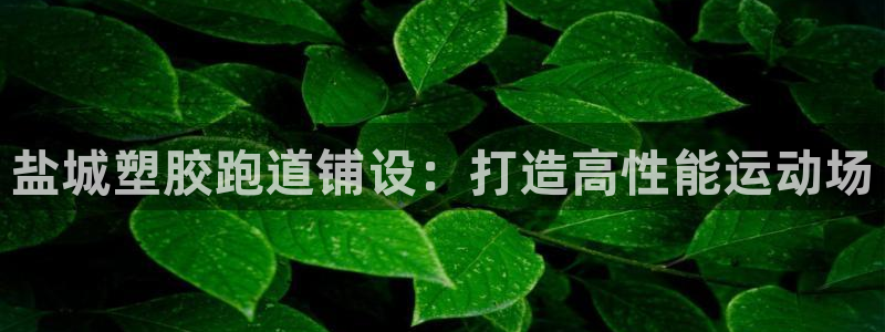 谈球吧体育在线：盐城塑胶跑道铺设：打造高性能运动场