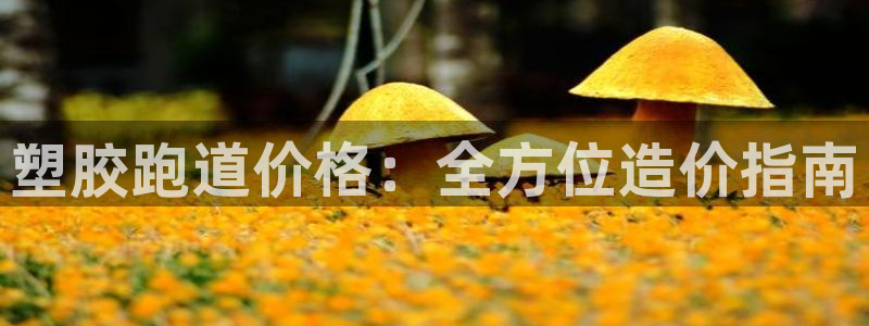 谈球吧的聊天软件叫什么来着：塑胶跑道价格：全方位造价指南