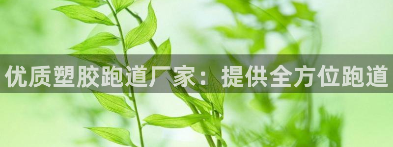 谈球吧App：优质塑胶跑道厂家：提供全方位跑道