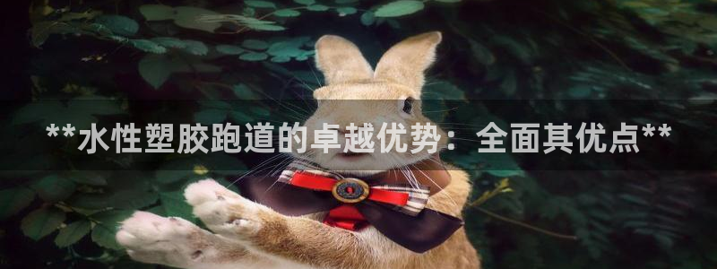 谈球吧平台：**水性塑胶跑道的卓越优势：全面其优点*