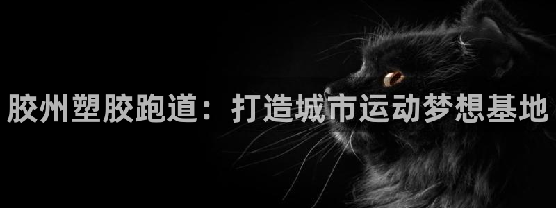 谈球吧言网入口