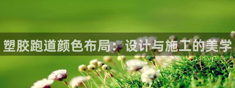 谈球吧app体育