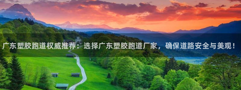 谈球吧官网在线入口手机版免费观看