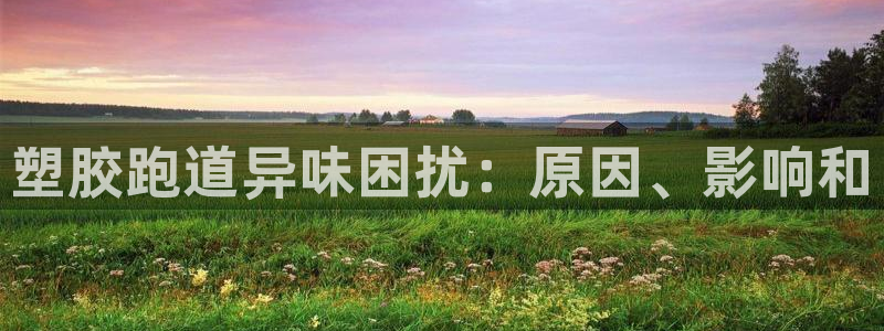 谈球吧官网下载：塑胶跑道异味困扰：原因、影响和