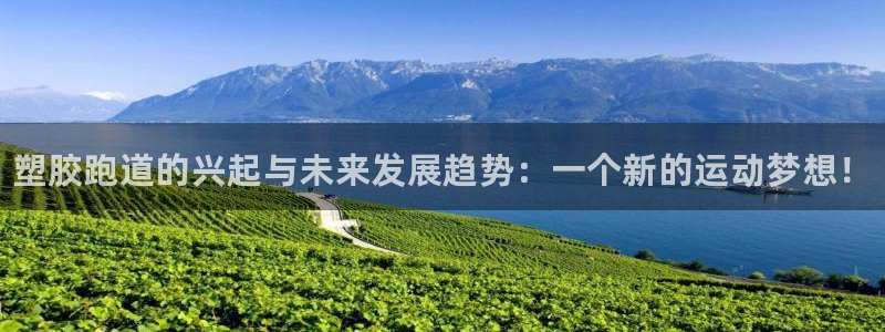 谈球吧账号有人收吗