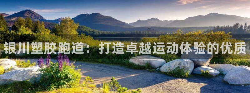 谈球吧官网入口：银川塑胶跑道：打造卓越运动体验的优质