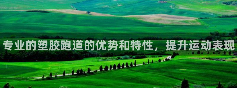 谈球吧买球提现：专业的塑胶跑道的优势和特性，提升运动表现
