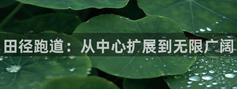 谈球吧app下载安装