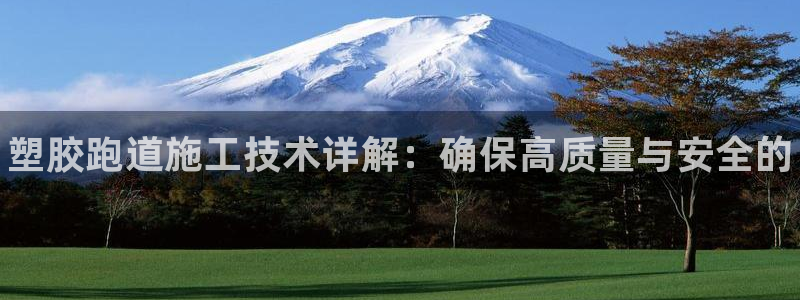 谈球吧不出款：塑胶跑道施工技术详解：确保高质量与安全的