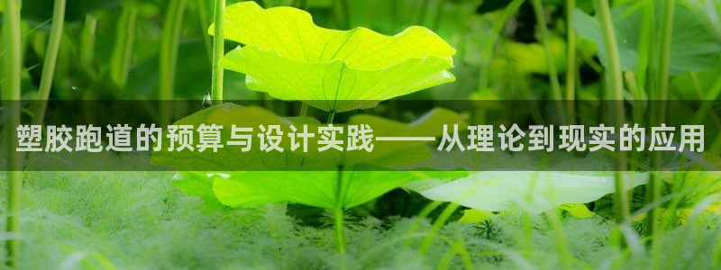 谈球吧被黑不给提现：塑胶跑道的预算与设计实践——从理论到现实