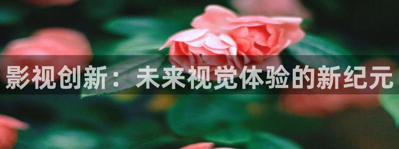 五杀影院官网在线：影视创新：未来视觉体验的新纪元