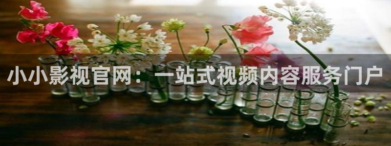 五杀影院免费观看：小小影视官网：一站式视频内容服务门户