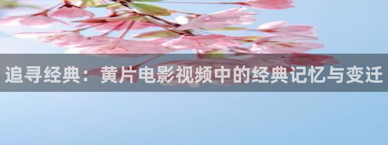 五杀影院免费观看：追寻经典：黄片电影视频中的经典记忆与变迁
